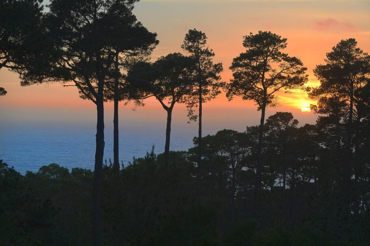 3707 Pacific'S Edge Sanctuary Home Carmel-by-the-Sea Екстер'єр фото