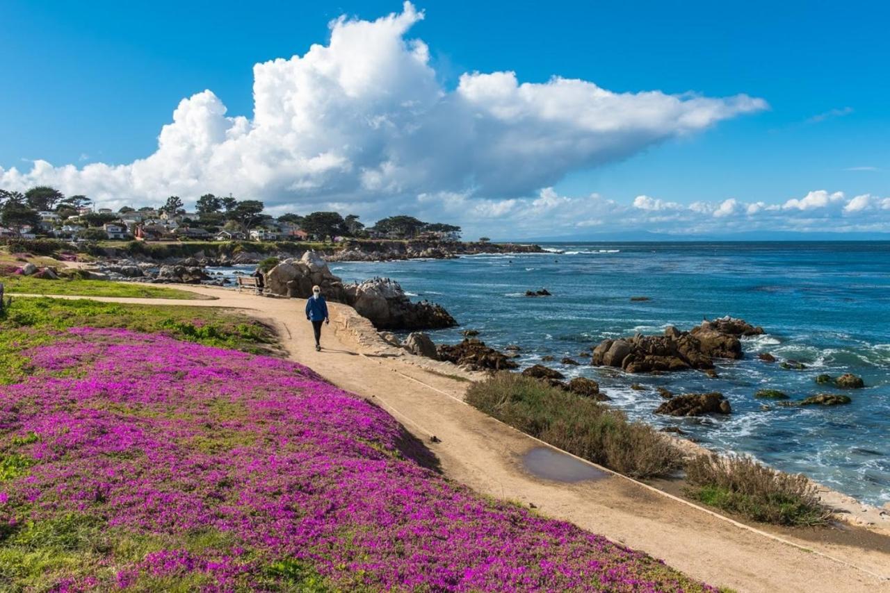 3707 Pacific'S Edge Sanctuary Home Carmel-by-the-Sea Екстер'єр фото
