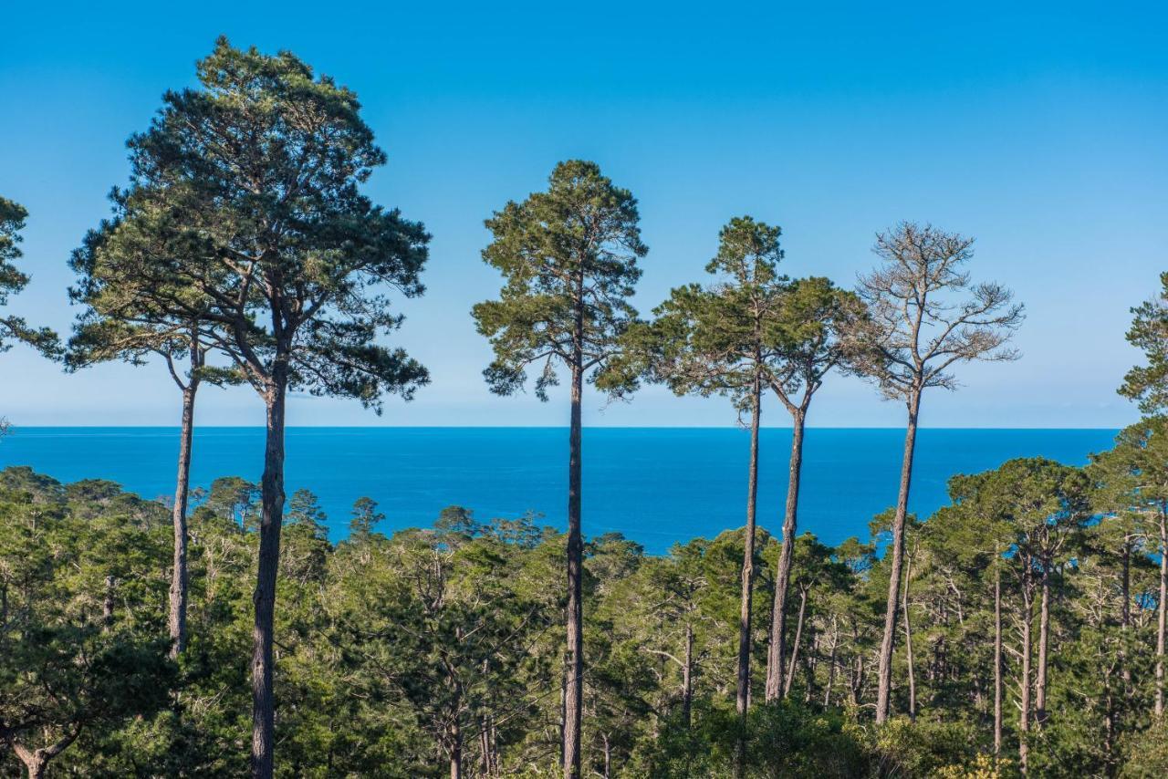 3707 Pacific'S Edge Sanctuary Home Carmel-by-the-Sea Екстер'єр фото